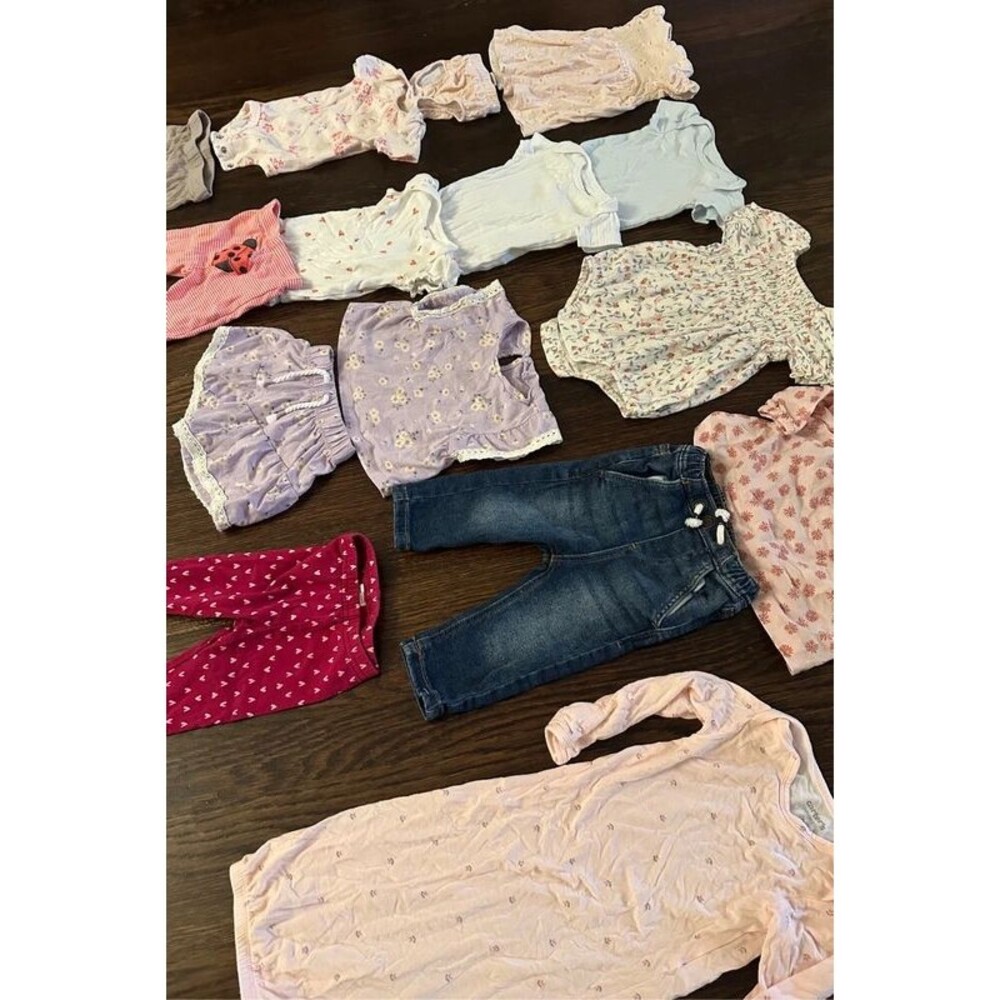 Baby Girl Clothing Lot Carter’s Modern Moments and Little Co 0-3 Month